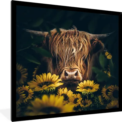 Produktbild von MuchoWow® Gerahmtes Poster Schottische Highlander - Blumen - Kuh - Botanisch - Tiere 40x40 cm - Poster mit Schwarzem Bilderrahmen Wandposter Rahmen Foto Bilder - Mit Rahmen - Wanddekoration Schlafzimmer