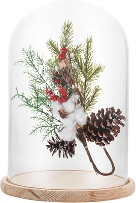 Productafbeelding van Glazen bel met houten bodem 30 cm voor decoratie