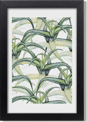 Produktbild von Bild 20x30 MDF-Rahmen, Wandkunst Aloe
