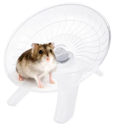 Immagine prodotto di Gabbia per piccoli animali, silenziosa, di 18 cm, adatta per criceti