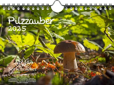 Produktbild von Pilzzauber DIN A5 Wandkalender für 2025 Pilz Wald - Seelenzauber