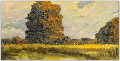 Produktbild von Coloray Küchenrückwand 100x50 Spritzschutz aus Glas - Wald Natur Himmel