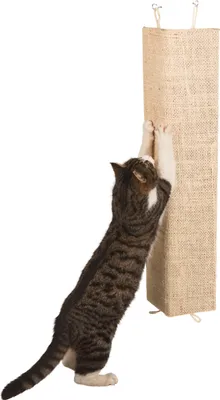 Produktbild von Kerbl Sisal Kratzbrett Kevin, 80x28cm, beige; 81557