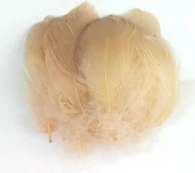 Immagine prodotto di Piume decorative, champagne, circa 2 g