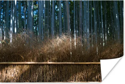 Produktbild von MuchoWow® Poster Arashiyama-Bambusbäume in einem Wald Japan 180x120 cm - Fotoplakat