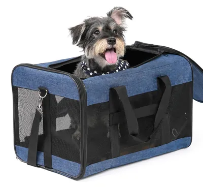 Productafbeelding van Hondentransportbox voor Katten en Kleine Honden tot 10 kg