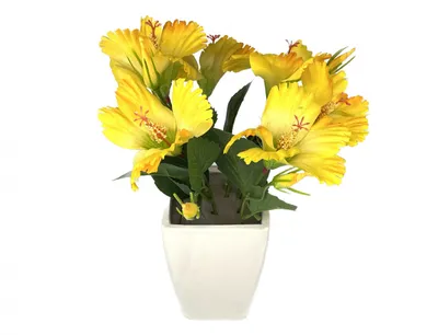 Obrázok produktu pre Nohel Garden IBISEK kvetina v kvetináči 35cm