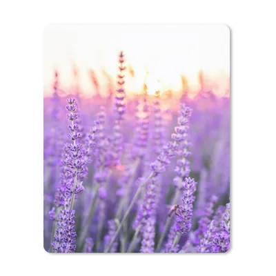 Produktbild von MuchoWow® Mauspad Mousepad Lavendel - Nahaufnahme - Lila - Blumen 19x23 cm - Mousepads - Maus Mat - Pad - Mausunterlage - Mauspads - Spielen