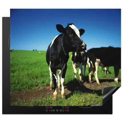 Produktbild von KitchenYeah© Herdabdeckplatte Kuh - Gras - Tiere , 57x51cm, Küche Deko, Glaskeramikkochfeld Herdabdeckung, Abdeckplatte fùr Kochfeld