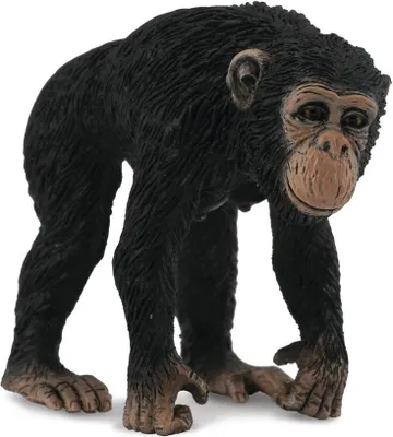 Image de Collecta Femme chimpanzé noir 3-6 ans Noir 3-6 ans