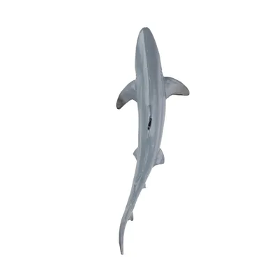 Produktbild von Toymany ML00257 Schwarzspitzen-Riffhai 6,4 cm Wasserwelt