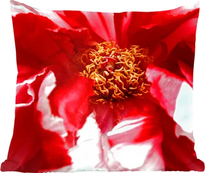 Produktbild von MuchoWow® Zierkissen Sofakissen Wohnzimmer Dekokissen 60x60 cm Eine verblühte rote Pfingstrose - Sitzfläche - Foto Polster
