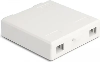 Produktbild von Delock LWL Anschlussdose zur Wandmontage für 2 x SC Simplex oder LC Duplex weiß