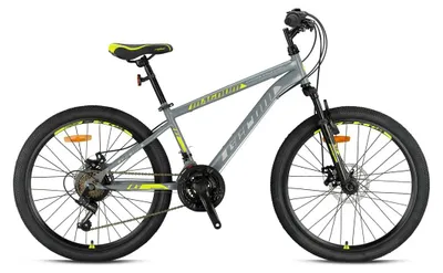 Produktbild von 20 Zoll Mountainbike Kinder MTB Fahrrad Rad Bike MAGNUM GRAU GRN26-075