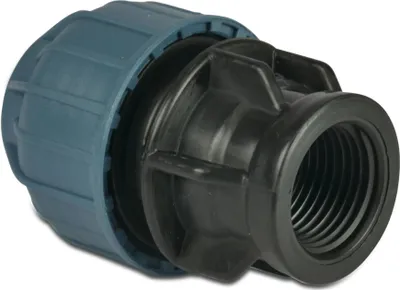 Immagine prodotto di Jason PP adattatore 25 mm x 1" GW, 10 bar, nero-blu