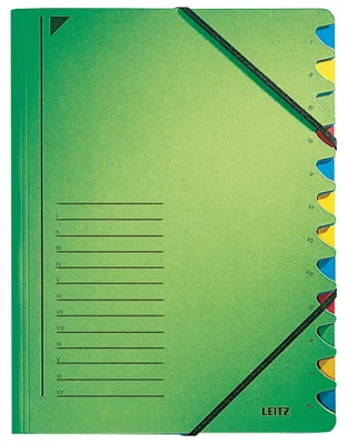 Immagine prodotto di Leitz 3912-00-55 3912 Cartella organizer - 12 scomparti, A4, cartoncino Pendarec (RC), 430 g/m², verde