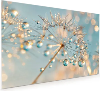 Produktbild von Küchenrückwand Spritzschutz Glas mit Motiv Pusteblume Wassertropfen 40 x 40 cm