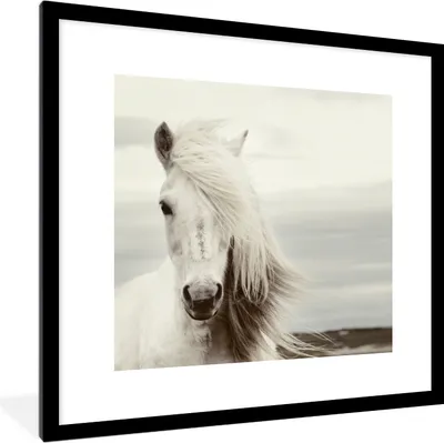 Produktbild von MuchoWow® Gerahmtes Poster Pferd - Strand - Mähne 40x40 cm - Poster mit Schwarzem Bilderrahmen Wandposter Rahmen Foto Bilder - Poster - Plakat im Rahmen