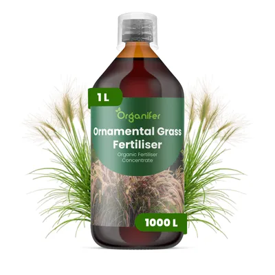 Produktbild von Ziergras Flüssigdünger 1L – 2-1-8 NPK – Flüssig-Pflanzendünger für Ziergräser – Organifer
