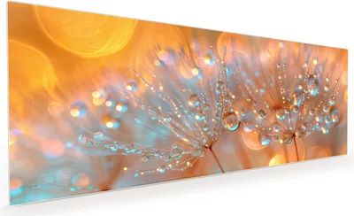 Produktbild von Küchenrückwand Spritzschutz Glas mit Motiv Pusteblumen Tropfen 40 x 40 cm