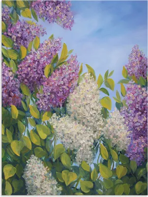 Produktbild von ARTland Wandbild Alu für Innen & Outdoor Fliederbusch Größe: 45x60 cm