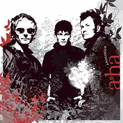 Produktbild von A-Ha-Analogue