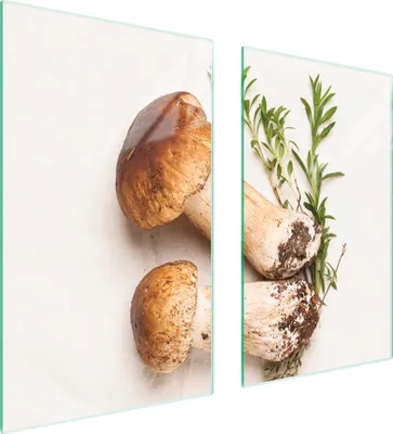 Immagine prodotto di Piastre coprifornelli 2 pezzi 75x52 copertura piano cottura in Vetroceramica tagliere in vetro funghi verdure