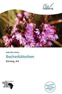 Produktbild von Becherkätzchen Pflanze, immergrün, Wuchshöhe bis zu 4 m