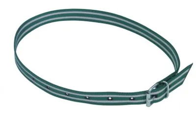 Produktbild von Halsmarkierungsband,120 cm grün/weiß, Rollschnalle