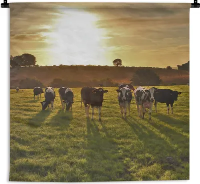 Produktbild von MuchoWow® Wandteppich Wandbehang Kühe - Sonne - Licht 120x120 cm Tapisserie Dekoration Wandtuch - Modern - Baumwollgewebe