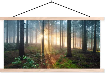 Produktbild von MuchoWow® Textilposter Wald - Baum - Pflanze 120x60 cm mit holzfarbenen Rahmen - Klemmleiste