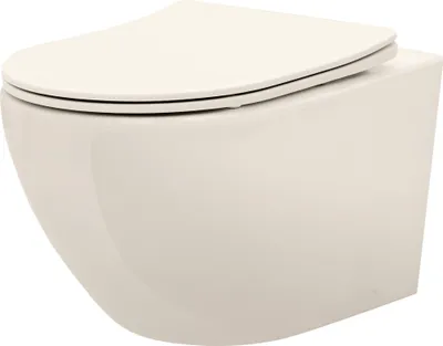 A wall-mounted toilet with a closed lid, shown from a side-front angle against a white background.