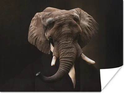 Produktbild von MuchoWow® Poster Elefant - Malerei - Alte Meister 120x90 cm - Wandbild