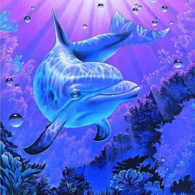 Produktbild von NORIMPEX Kleiner Ofen nach Nummer Delfin 40x50cm