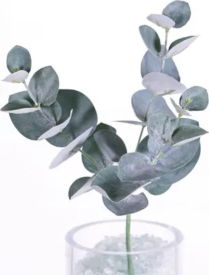 Produktbild von artplants.de Künstlicher Zweig Eucalyptus Zweig Jamal, grün-grau, 25cm