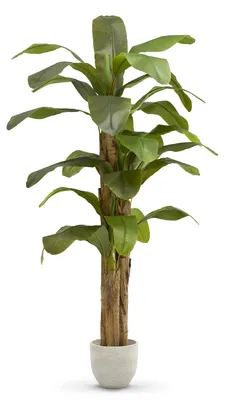 Künstlicher Bananenbaum 210 cm, hyperrealistische Kunstpflanze