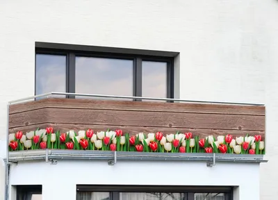 Produktbild von Balkonsichtschutz, Tulpen, 5 m x 35 cm