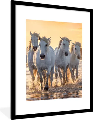 Produktbild von MuchoWow® Gerahmtes Poster Pferde - Wasser - Strand - Tiere 60x80 cm - Poster mit Schwarzem Bilderrahmen Wandposter Rahmen Foto Bilder - Wohnzimmer - Dekorationen - Prämie