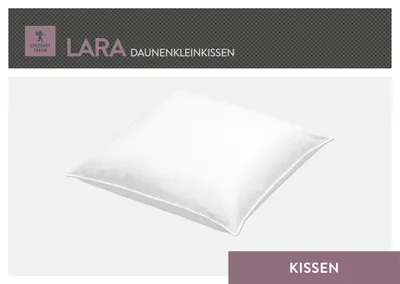 Produktbild von Spessarttraum Kleinkissen Lara Füllung: halbweiße fedrige Daune/Feder von der Gans Bezug: 100% Baumwolle Größe 40 x 40 cm