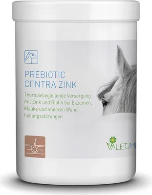 Image de Valetumed Prebiotic Centra Zink, 750 g - 750 Gramm