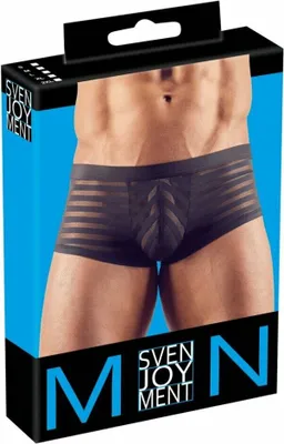 Produktbild von Svenjoyment Pants im semitransparentem Streifen-Look L