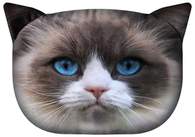 Produktbild von Dekokissen Sofakissen »CAT Daisy« PT02
