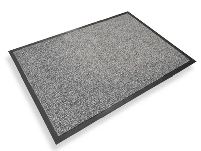 Image de Tapis anti-salissures | Monochrome | gris argenté | 60 x 90 cm