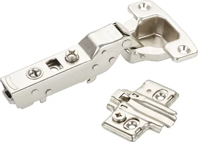 A close-up studio shot of a metal hinge and its mounting plate against a white background.