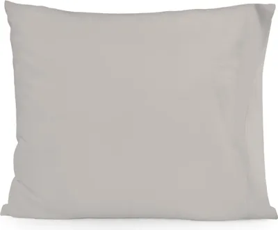 Image de Taie d'oreiller HappyFriday BASIC Gris 15 x 1 x 38 cm