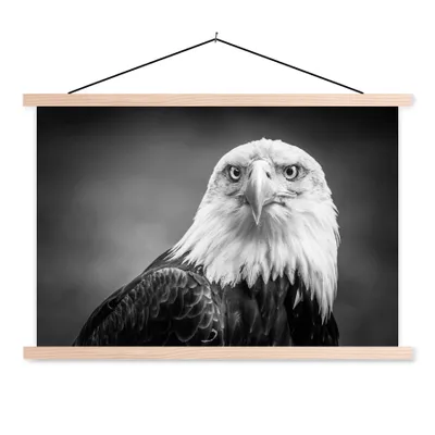 Produktbild von MuchoWow® Textilposter Adler - Raubvogel - Schwarz - Weiß - Tiere 120x80 cm mit holzfarbenen Rahmen - Aufhängeset