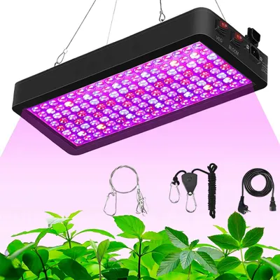 A grow light with accessories shown above plants.
