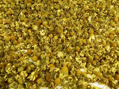 Produktbild von Kamillenblüten europäisch ganz Naturideen® 100g