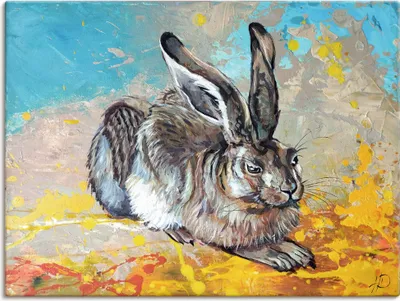 Produktbild von ARTland Leinwandbild Feldhase Größe: 80x60 cm