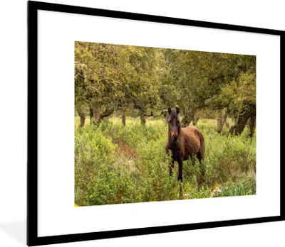 Produktbild von MuchoWow® MuchoWow® Gerahmtes Poster Pferd - Wald - Gras 80x60 cm - Poster mit zchwarzem Bilderrahmen - Schlafzimmer-Dekorationen - Fotoposter